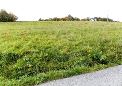 działka na sprzedaż - Chełmiec, Wola Marcinkowska